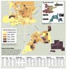 Low turnout for primary vote Low turnout for primary vote