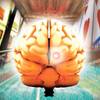 Illness theory gaining ground for gambling addiction Illness theory gaining ground for gambling addiction