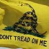 Assemblyman wants specialty Tea Party license plates in Nevada Assemblyman wants specialty Tea Party license plates in Nevada