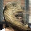 Wind advisory issued for the valley Saturday night Wind advisory issued for the valley Saturday night