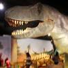 The animatronic T-Rex dinosaur shakes his head during the 20th anniversary celebration at the Las Vegas Natural History Museum Saturday, July 16, 2011.