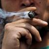 Family law attorney warns high times might lead to loss of custody Family law attorney warns high times might lead to loss of custody