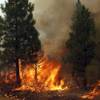 A firefighter monitors a backfire, flames lit by fire crews to burn off vegetation, while battling the Mosquito Fire in the Volcanoville community of El Dorado County, Calif., on Sept. 9, 2022. Wildfires in the U.S. scorched some 65,000 square miles and about 85,000 houses and other structures nationwide over the past decade.