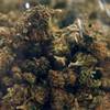 Supporters, opponents square off over recreational marijuana Supporters, opponents square off over recreational marijuana