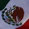 Private jet that left Las Vegas crashed in Mexico; no survivors found Private jet that left Las Vegas crashed in Mexico; no survivors found