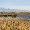 The strip is seen from the Las Vegas Wash at the Clark County Wetlands Park, Wednesday, Feb. 5, 2020.