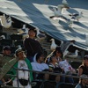 Seagulls occupy the upper deck of the Oakland Coliseum with Oakland Athletics fans during team's baseball game against the Seattle Mariners, July 8, 2012, in Oakland, Calif.