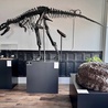 Arizona’s Poozeum celebrates the science of dinosaur dung
