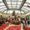 Bellagio Conservatory's holiday display