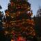 A Spectacular Phantom Holiday Concert at the Lloyd D. George Federal Courthouse
