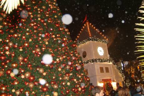 Holiday Nights & Lights at the Town Square Park