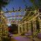Third annual Winter Lights Festival at Springs Preserve
