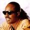 Stevie Wonder at MGM Grand