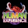 Human Experience at The Beat