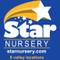 Rose tree and pruning seminar