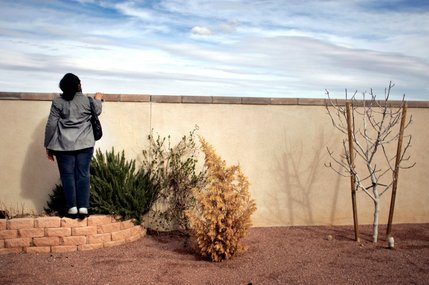 The Foreclosure Express, operated by real estate agents Barbara and Marshall Zucker, takes prospective buyers on a tour of bank-owned homes in Summerlin.