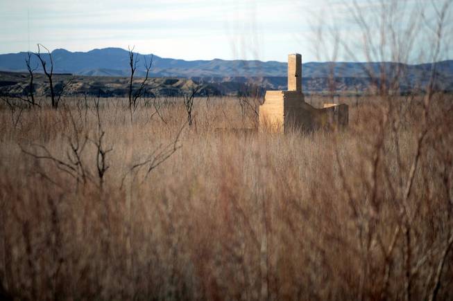 The remains of a building is seen through the tamarisk weeds that have grown over the site of the lost town of St. Thomas. The town was founded by Mormon settlers in 1865,  but was abandoned to the rising waters of Lake Mead in 1938.