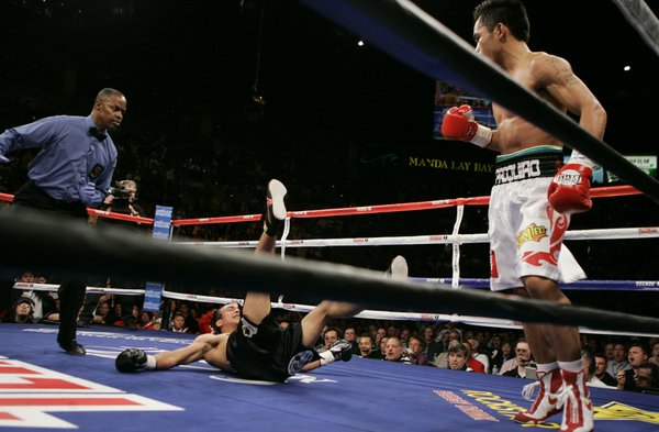 Juan Manuel Marquez hits the canvas after being knocked down ...