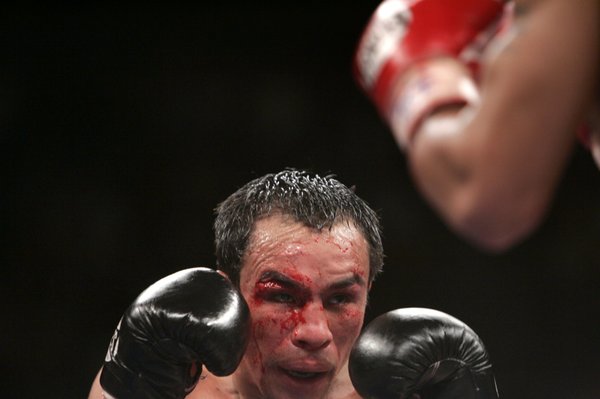 WBC super featherweight champion Juan Manuel Marquez of Mexico bleeds ...