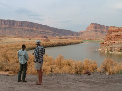 Scientists observe tamarisk defoliation along the Colorado River. 