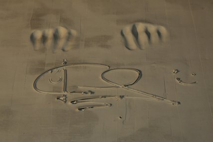 A clay tablet has imprint of Joe Calzaghe's knuckes and his signature at Planet Hollywood. 
