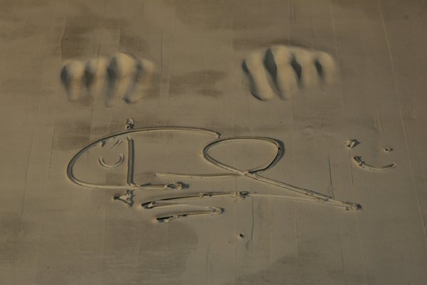 A clay tablet has imprint of Joe Calzaghe's knuckes and ...
