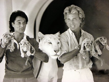 Siegfried & Roy show off their famous white tigers during an Oct. 1986 promotional shoot.