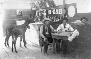 The bartender and patrons of this early Las Vegas saloon appear unconcerned with the two burros at the bar in this 1905 photo titled 