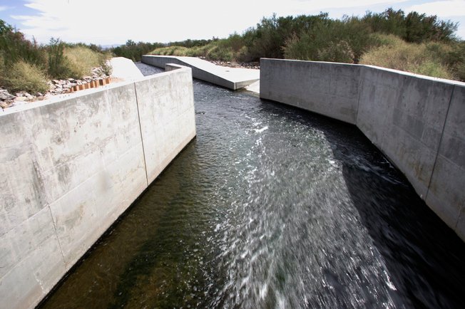 Hundreds of millions of gallons of treated wastewater a week runs from the Clark County wastewater treatment facility to the Las Vegas Wash, and eventually into Lake Mead. Whether that treated water is altering the reproduction systems of fish in the lake is the subject of a $1 million study to begin this summer.