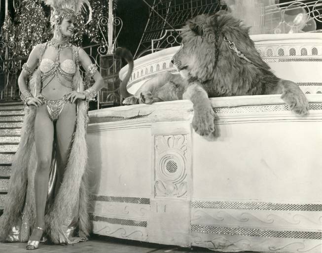 Peggy Kubena looks into the eyes of Caesar the lion during a 1978 performance of "Casino de Paris" at the the Dunes Hotel. 