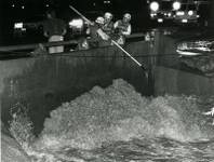 July 17, 1990.
Search and Rescue officers prod into flood waters to determine whether or not a vehicle is trapped against the bridge at Swenson Stteet. A 25-year old woman had drowned the previous day when flood waters swept her car into the the Flamingo Wash. Storms throughout July of 1990 caused $8.7 million in damage to infrastructure.