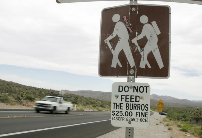 
A sign on Highway 159 warns of a fine for feeding burros.