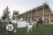 To attract families, The Bullring has been offering promotions aimed at them, including a petting zoo and pony rides and a $1 food and drink menu to make an evening at the track more economical.