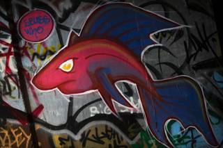Graffiti artworks line the walls of storm drains under The Strip in Las Vegas. 