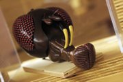 Large-scale models of bugs, including this fly head, are included in the exhibit, which is spending 13 weeks in Las Vegas. 