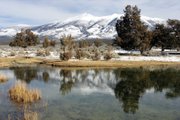 Snowmelt from Wheeler Peak has sustained generations of Northern Nevada cattle ranchers. The creation of Great Basin National Park in 1986 protected grazing rights and farming claims on the water to grow lush alfalfa crops.