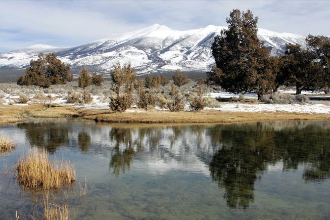 Snowmelt from Wheeler Peak has sustained generations of Northern Nevada cattle ranchers. The creation of Great Basin National Park in 1986 protected grazing rights and farming claims on the water to grow lush alfalfa crops.