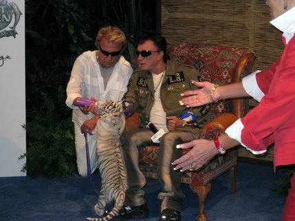Two newly named tiger cubs were introduced to the public Wednesday at the Mirage: Star and Celestial. The cubs, part of the hotel's Secret Garden, were named as part of a contest held by Siegfried Fischbacher and Roy Horn. 
