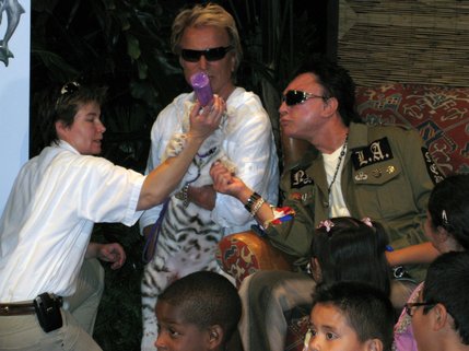 Two newly named tiger cubs were introduced to the public Wednesday at the Mirage: Star and Celestial. The cubs, part of the hotel's Secret Garden, were named as part of a contest held by Siegfried Fischbacher and Roy Horn. 