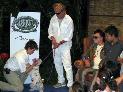 Two newly named tiger cubs were introduced to the public Wednesday at the Mirage: Star and Celestial. The cubs, part of the hotel's Secret Garden, were named as part of a contest held by Siegfried Fischbacher and Roy Horn. 