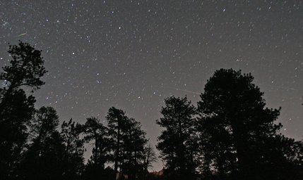 A Perseid meteor streaks toward the horizon early this morning. This photo was taken at Mount Charleston.