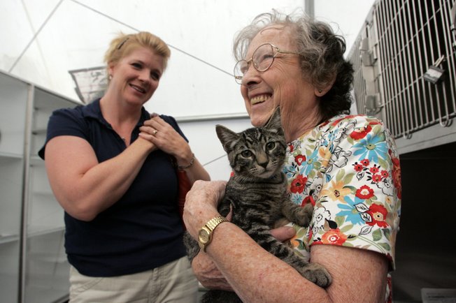 
Nan Harrison, left, looks on as her friend Louise Gagliardi decides on a cat to adopt at the Lied Animal Shelter on Tuesday. The shelter euthanized more than 11,000 cats in the first seven months of 2008, out of more than 14,000 taken in. Fully domesticated cats like the one Gagliardi chose are more adoptable. 