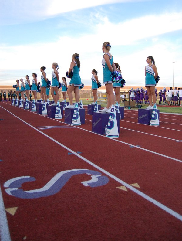 The Skyhawk cheerleaders stand waiting for the game to start ...