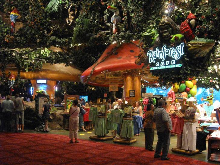 Rainforest Cafe inside MGM
