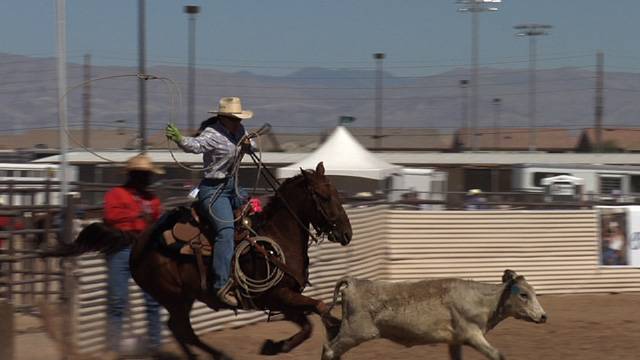 2008 BigHorn Rodeo