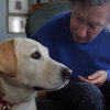 Lucie, a pet therapy dog, visits with Dorothy Fischer on Oct. 8 at The Cottages of Green Valley.