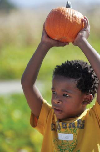Elijah Walker holds up the pumpkin he chose at the orchard.