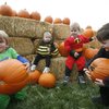 From left, Leo Forrest, 4, and sister, Annlee, 1, play with Joel Andrews, 2, and his older brother, Ryan, 4, during the Summerlin Pumpkin Festival at the Gardens Park on Saturday.