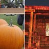 Left: Summerlin residents attend the annual Summerlin Pumpkin Festival to welcome the fall season. Right: A man dressed as a zombie waits for his next victim at Bonnie Screams, a haunted house west of Las Vegas in Bonnie Springs. (Photos by Richard Brian)