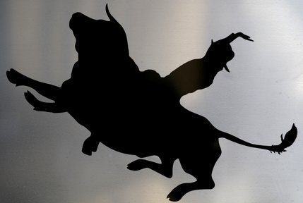 A bull riding decal on the side of a trailer.